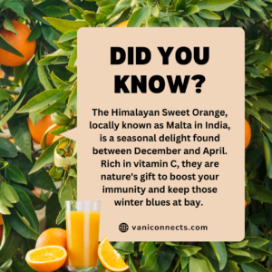 Health Benefits of malta